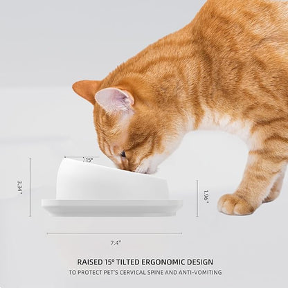 Cat Bowls Elevated Tilted Whisker Friendly, Cat Food Bowls for Indoor Cats, Shallow Food Dishes Stainless Steel, Slanted Flat Plastic Feeder Elevated Angled Design.(White)