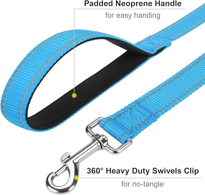 Reflective Dog Leash 4ft Soft Padded Handle Nylon Lead for Small & Medium Dogs, Durable Walking Training Leash for Night Safety (SkyBlue,3/4Inch Wide)