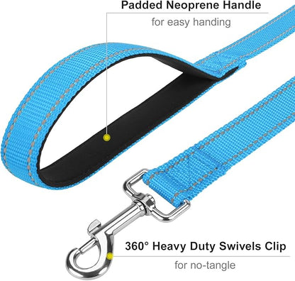 Reflective Dog Leash 4ft Soft Padded Handle Nylon Lead for Small & Medium Dogs, Durable Walking Training Leash for Night Safety (SkyBlue,3/4Inch Wide)