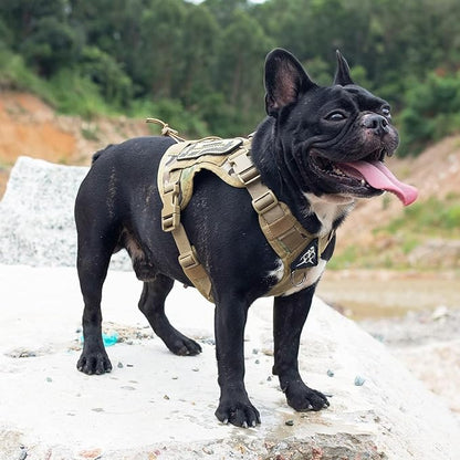OneTigris Tactical Dog Harness Vest,No-Pull Service Dog Vest with Hook & Loop Panels,Adjustable Dog Vest Harness for Walking Hiking Training(CamoColor,XS)