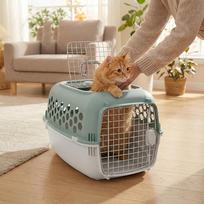 Hard-Sided Pet Carrier for Dogs and Cats | 24-Inch Top-Load Travel Kennel with Double Door Entry | Heavy-Duty Plastic Crate for Vet Visits & House Training, Green/Gray, Up to 30 lbs Capacity