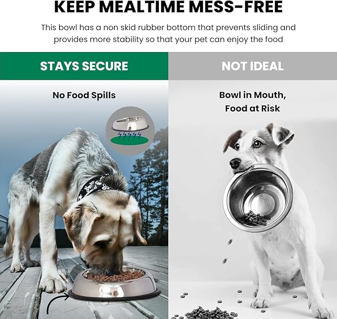 Iconic Pet 8 Cup/64 Oz Heavy Weight Non-Skid Stainless Steel High Back Pet Food/Water Bowls with Removable Anti Skid Rubber Ring - Dog/Cat Feeding Bowl in Unique Design, Dishwasher Safe