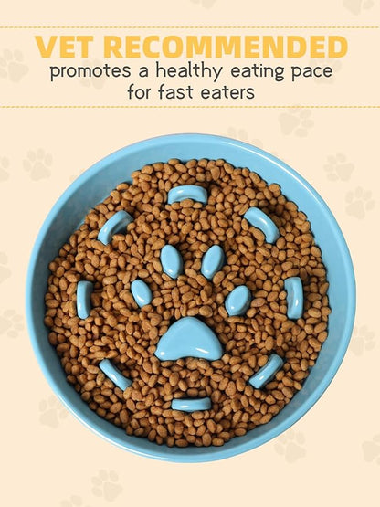 Dog Slow Feeder Bowl, Round Ceramic Pet Food Bowl for Medium Breed, Fun Raised Dog Bowls to Slow Down Eating (Turquoise)