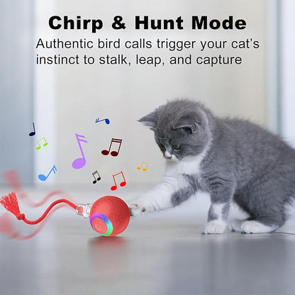 Quibron Interactive Cat Ball Toy with Flashing Lights & Bird Sounds - Multi-Surface Adaptive Roller, USB Rechargeable Motion-Activated Cat Teaser for Indoor Cats, Smart Enrichment Gift (Red)