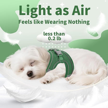 AIITLE Easy Walk Dog Harness and Leash Set - Pet Supply No Pull, Step in Adjustable Pet Harnesses with Padded Vest for Summer, No Choke Over, Easy to Put on Medium Dogs Green L