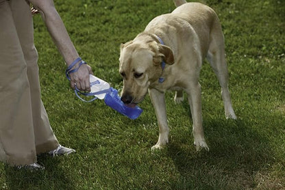 Pet Lodge® Portable Dog Water Bottle | Thirsty Pet Sport Bottle | Dog Water Bottle | 20 Ounces