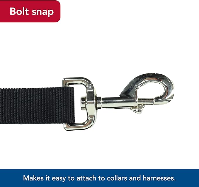 Coastal Pet Single-Ply Dog Leash - Sturdy Pet Leash - Comfortable & Stylish - Resists Fraying - Vibrant & Fade-Resistant Color - Black, 3/4" x 6'