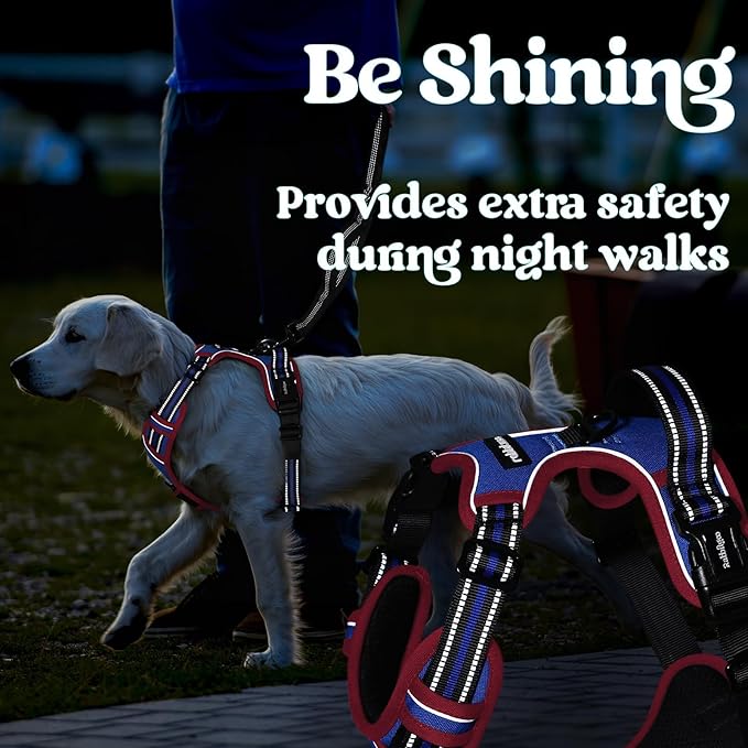 rabbitgoo Dog Harness Small Sized, No Pull Pet Harness with 3 Buckles, Adjustable Soft Padded Vest with Control Handle, Walking Reflective Pet Vest for Small Dogs, Royal Blue & Red, S