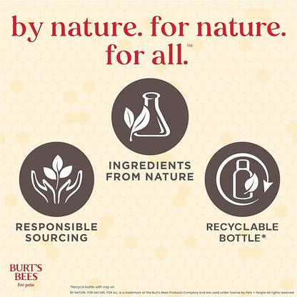 Burt’s Bees for Pets Manuka Honey Waterless Shampoo Spray for Dogs with Kelp, 10 Fl Oz