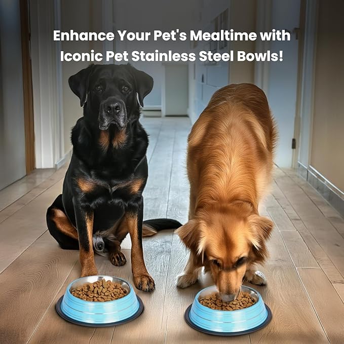 Iconic Pet Color Splash Stripe Non-Skid Stainless Steel Dog & Cat Bowl - Blue, 32 Oz, 4 Cup, Durable, Easy to Clean, Anti-Slip Feeding Dish for Food & Water, Stylish Design for Dogs and Cats