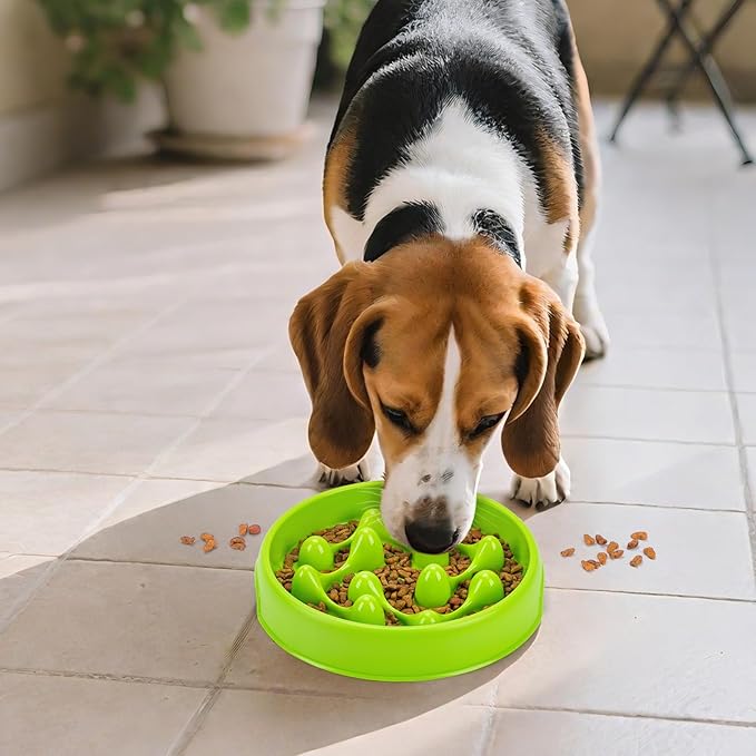 Slow Feeder Dog Bowls, Maze Dog Bowl Slow Feeder for Healthy Eating, Non-Slip Dog Food Bowl, Food-Grade Puppy Bowl, Slow Feeder Cat Bowl & Cat Food Bowl, Puzzle Dog Bowls for Small & Medium Pets