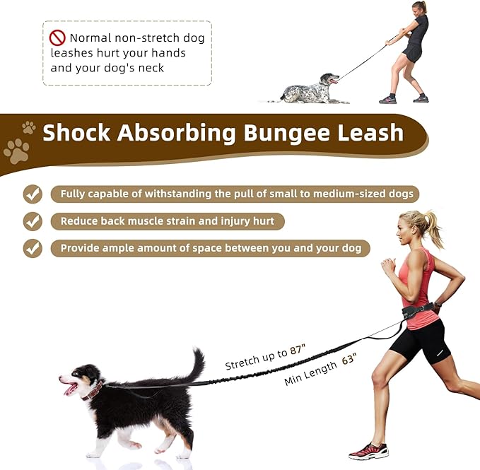 Hands Free Dog Leash with Zipper Pouch, Dual Handle Retractable Reflective Heavy Duty Bungee Leash for Small & Medium Dog Running Walking Jogging Training Hiking, Black