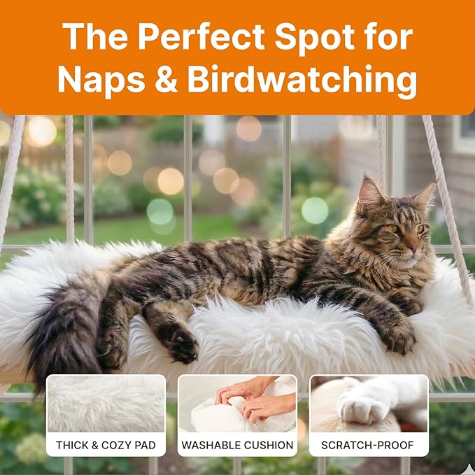 Large Cat Window Perch with Industrial-Grade Suction Cups - Solid Pine Wood Hammock Bed, Soft Cushion - 42 lb Capacity for Heavy Cats Inside