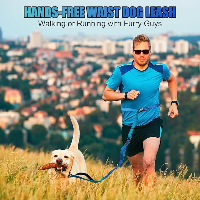Heavy Duty Hands Free Dog Leash, 5-7 FT Reflective Adjustable Waist Dog Leash Belt with Padded Handles, Shock Absorbing Bungee and Car Seat Belt for Large Medium Dogs (Gradient Cobalt, XL)