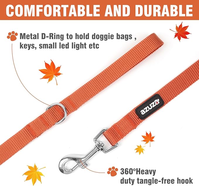 azuza 3 Pack Fall Nylon Dog Leashes Strong & Durable Basic Dog Leash with Easy to Use Collar Hook for Small Dogs, S (6FT,5/8")