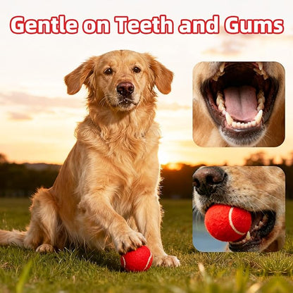 2.5" Dog Tennis Balls 6-Pack Silent Bounce, Tough Rubber Core, Durable Fetch & Training Toys for Indoor/Outdoor Play, for Small Medium Large Dogs (Burgundy Red, 6 Pack)