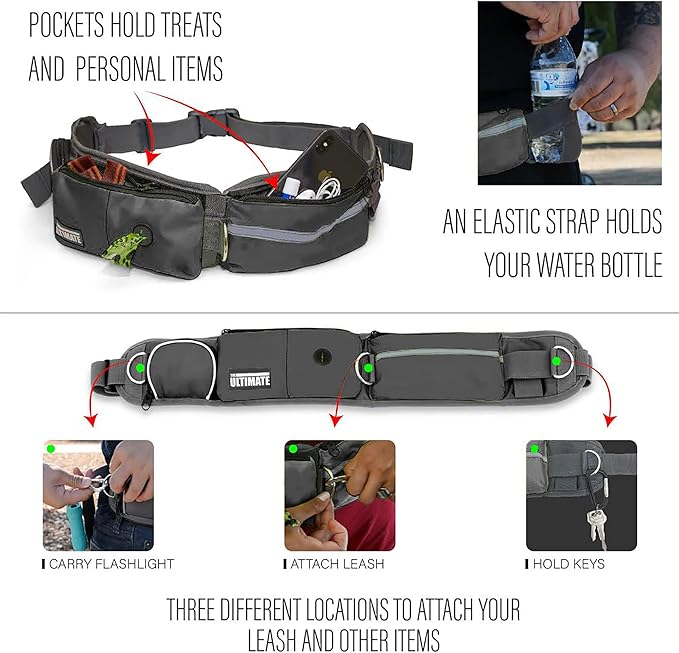 TAKSIN The Ultimate Hands Free Two Dogs Double Leash System for Walking Running Hiking Training, Reflective Bungee Leash, Treat Holder, Poop Bag Dispenser for Small Medium Large Dogs (Grey Pack)