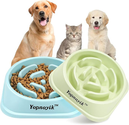 2 Pack Slow Feeder Dog Bowls for Healthy Eating, Non-Slip and Anti-Choking Design, Reduces Bloating & Overeating for Medium Dogs and Cats, Easy to Clean