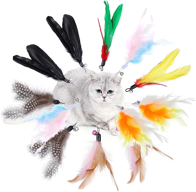 12Pcs Cat Feather Toys Refills, Feather Cat Wand Toys Attachment with Bells, Interactive Teaser Feathers Replacement for Bored Indoor Adult Cats Kitten Exercise and Play