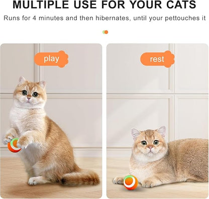 SEALON Electric Interactive Cat Toy Ball(Orange 4 Pack) Indoor Cat Play Ball, Suitable for Cats Over 6 Months for Exercise, Weight Loss, and Fun