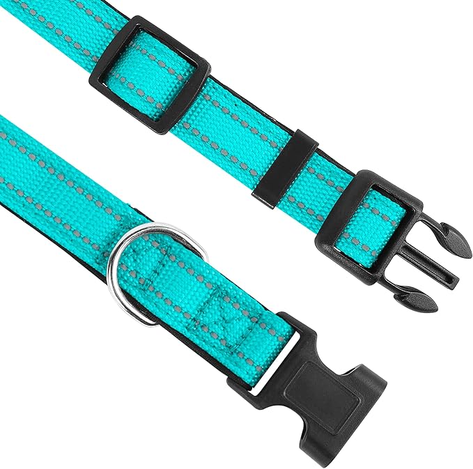 Reflective Dog Collar, Adjustable Soft Neoprene Padded Nylon Pet Collars with Buckle for Extra Large Dogs, Teal,XL