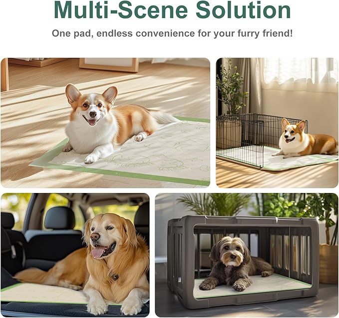 Dog Pee Pads with Adhesive Strips 50Count, 19"X30" Extra Large Disposable Pee Pads for Dogs, Non-Slip Puppy Training Pads for Crate/Cage/Carrier
