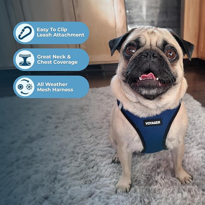Best Pet Supplies Voyager Step-in Air Harness - All Weather Mesh, Reflective, No Pull Harness for Dogs, Cats - Secure with Hook & Loop Fastener, Buckle, Double D-Rings - Blue/Black Trim, XS