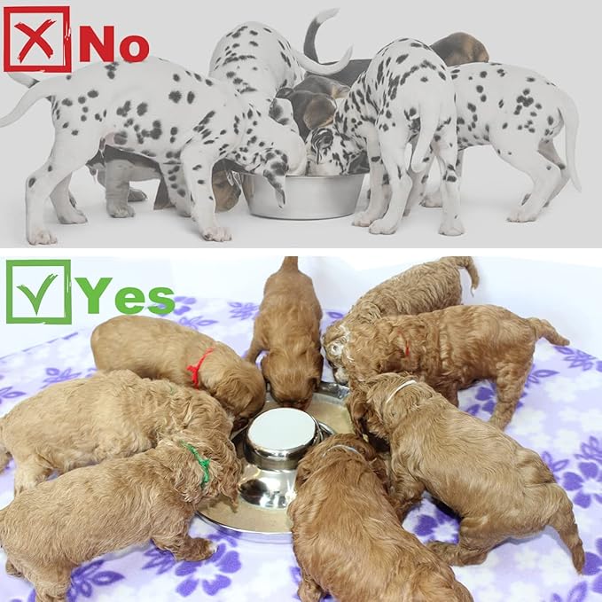 Stainless Steel Puppy Dog Bowls, Pets Puppies Feeding Food and Water Weaning Bowls Dishes Feeder, 13.4 Inch