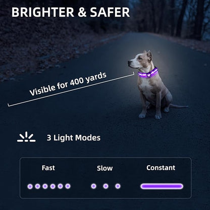LED Dog Collar for Small Dogs & Toy Breeds – USB-C Rechargeable Light Up Dog Collar, Fully Waterproof Adjustable Glow Collar for Night Walking & Safety(Purple,S)