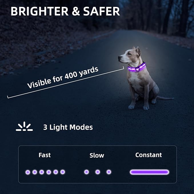 LED Dog Collar for XSmall Dogs & Toy Breeds – USB-C Rechargeable Light Up Dog Collar, Fully Waterproof Adjustable Glow Collar for Night Walking & Safety(Purple,XS)