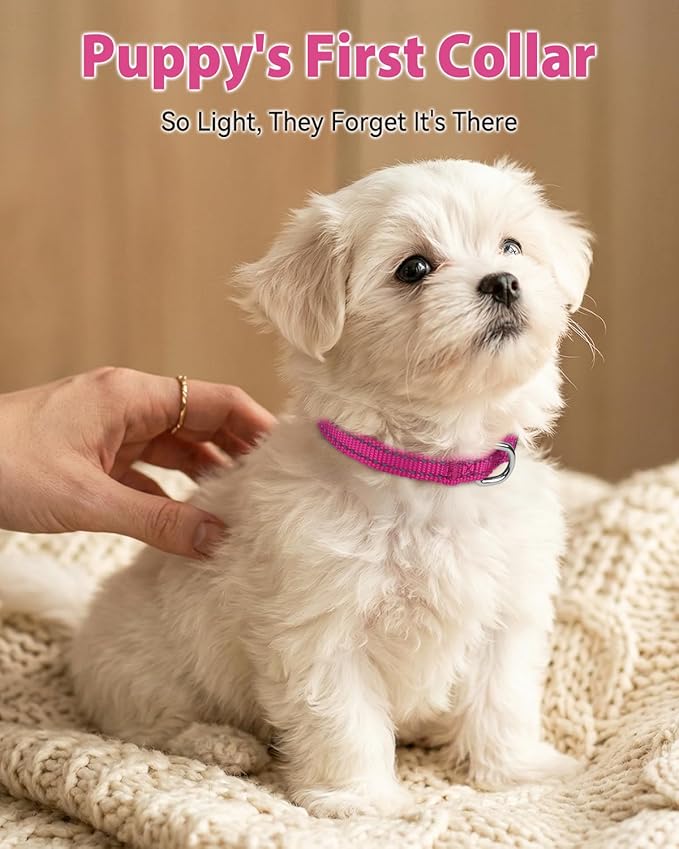 Joytale Puppy Collar, Feather-Light Double-Sided Reflective Nylon Collar for Night Safety, Adjustable Quick-Release for Extra Small Dogs, Hotpink, XS (3/8" Width)