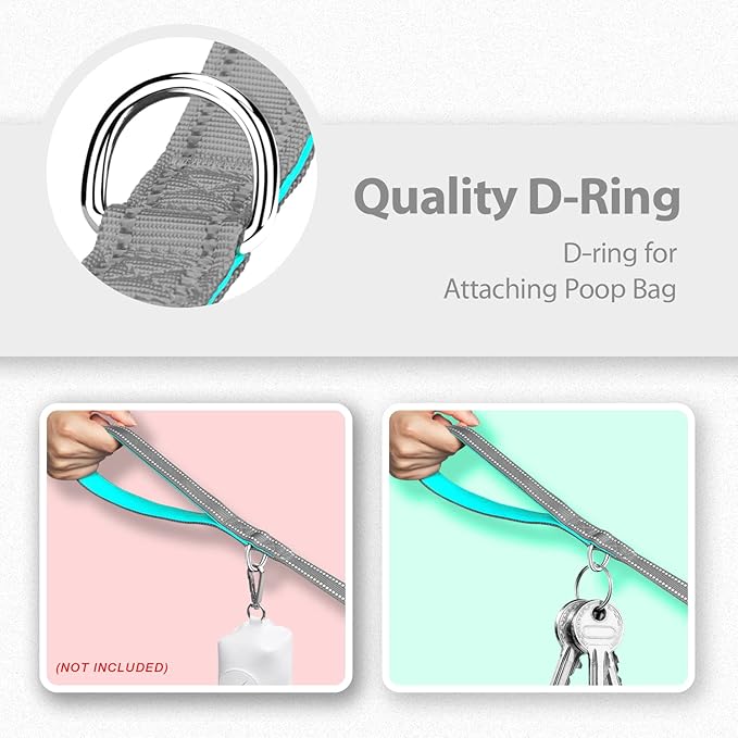 PHOEPET 5 Feet Dog Leash - Dual-Side Reflective - Soft Padded Handle - Fit for Walking, Training or Exploring Hiking, Camping (Grey + Mint Green Base)