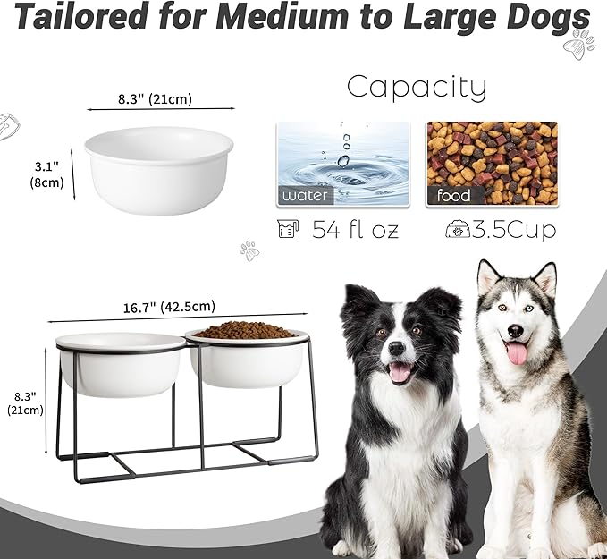 Ceramic Elevated Dog Bowl Set - Raised Double Feeding Bowls with Metal Stand - Pet Dishes for Medium and Large Dogs - 3.5 Cups - 54 fl oz - Matte White