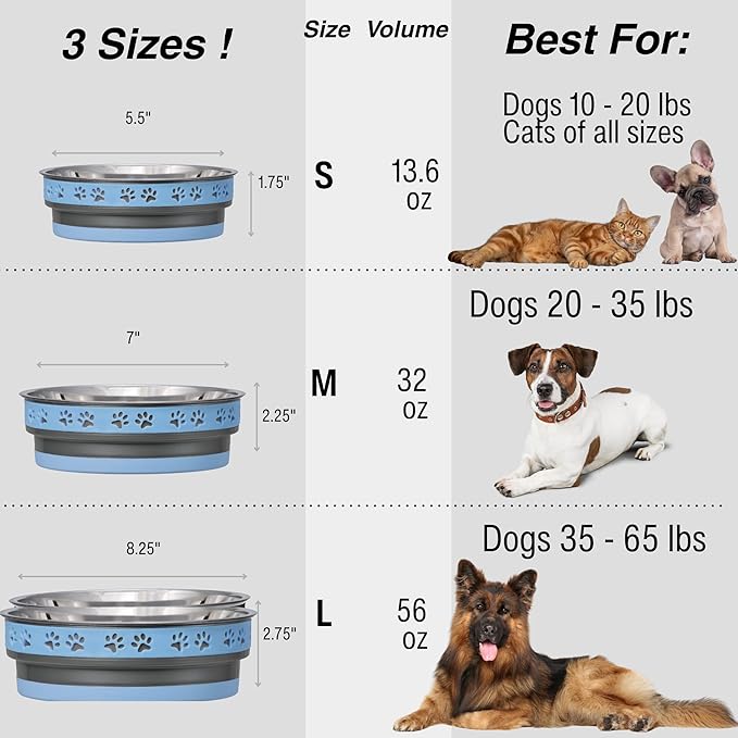 Loving Pets Corsa Dog Bowls- Stainless Steel Dog & Cat Bowls - Spill Proof Dog Food Bowl, Cat Bowl, Puppy Essentials & Pet Supplies Great for Home & Travel (Medium 20-35 lbs, Rapid Blue)