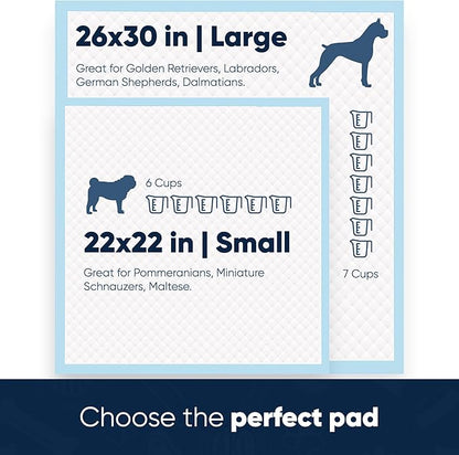American Kennel Club Scented Puppy Pads –Large Size – 30x26 Ultra Absorbent 6-Layer Pee Pads with Odor Control & Quick-Dry Gel – Fresh Scent – 50 Count (Fresh Scented, 26x30) (Pack of 2)