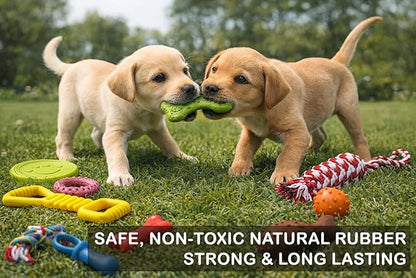 Jalousie Chew Toy Natural Rubber chew Toy for Interactive Play Toy Ball Rope Rubber Value Set for Small to Medium Breed Dog mutt Puppy