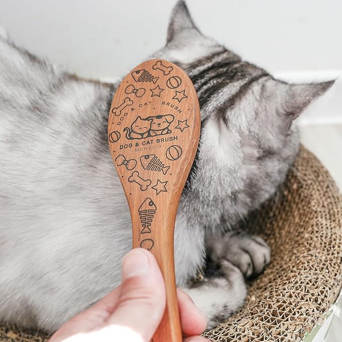 Pet Soft Brush with Wood Handle and Boar Bristle Hair - Soft Cat and Dog Grooming Brush for Short Hair Cats and Small Dogs - Gentle Massage and Dandruff Removal (Cat)