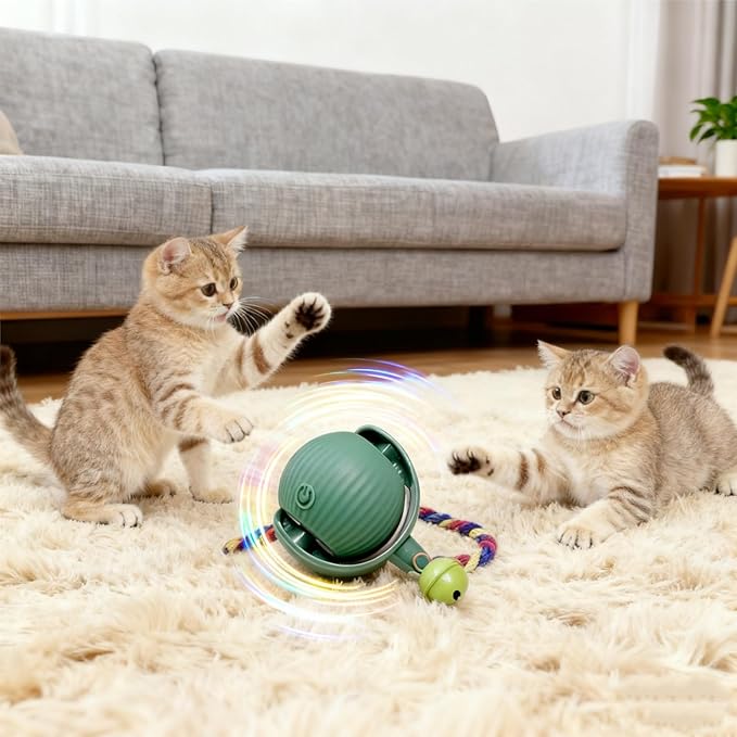 Interactive Cat Toy Ball with Bell, Moving Cat Toys Ball for Indoor Cats, Fast Rolling on Carpet, USB C Charging Automatic Kitten Toys for Bored Cats