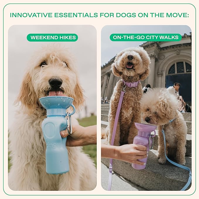 Springer Dog Water Bottle | Portable Travel Water Bottle Dispenser for Dogs - As Seen on Shark Tank | Patented, Leak-Proof Bottles Fill Bowl with Water - Ideal for Walking | BPA-Free 22oz Gray