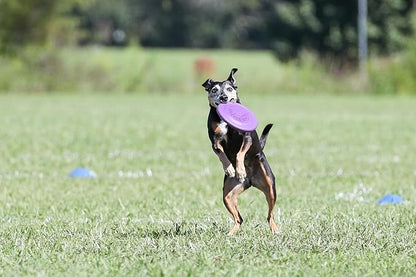 Hyperflite Pup Hyperflex Dog Flying Disc – for Dogs Under 16" – Ultra Flexible – Puncture Resistant – Competition Approved – 7" / 90g – Purple