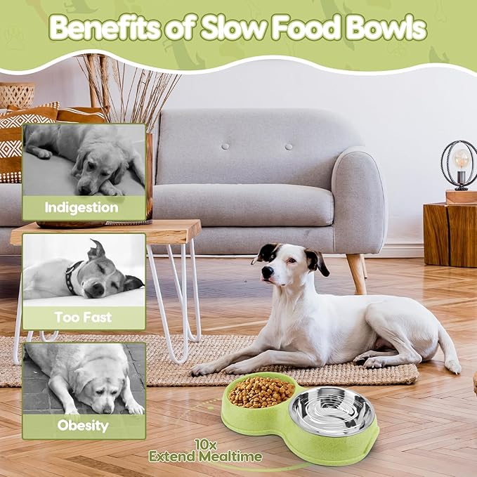 Pets Double Slow Feeder Bowls, Cats & Dogs Food Water Bowls, Stainless Steel Puppy Food and Water Dishes Non-Skid, Pet Feeding Bowl for Small Dogs Puppy Cat (Green)