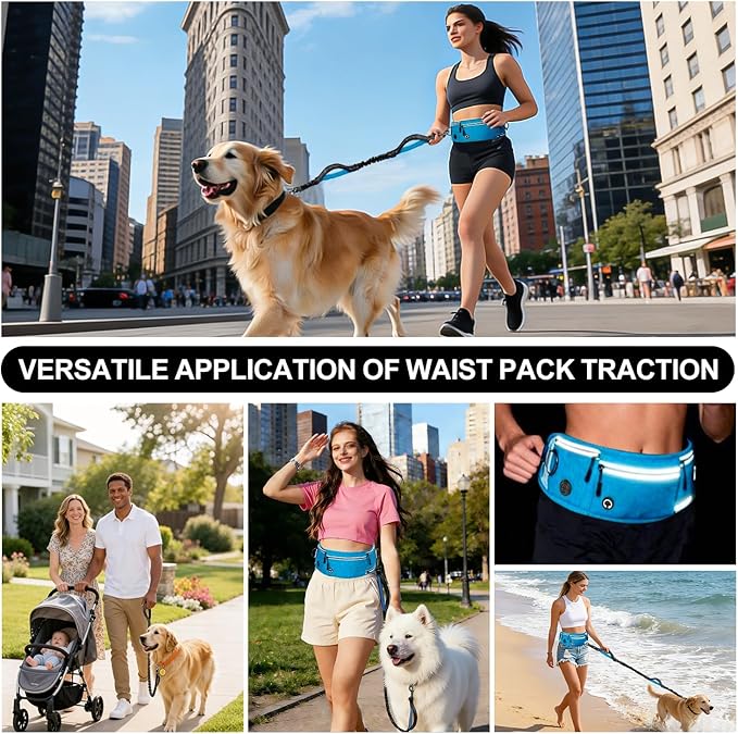Hands Free Dog Leash with Zipper Pouch, Waist Leash for Dog Walking and Running, Dual Padded Handles, Shock-Absorbing Bungee for Medium to Large Dogs (Blue)