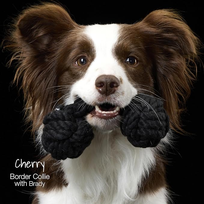 Brady The Rope Tug Toy 3-Pack Organic Cotton Dog Rope Pull Toys for All Pet Breeds, Black Ombre, One Size