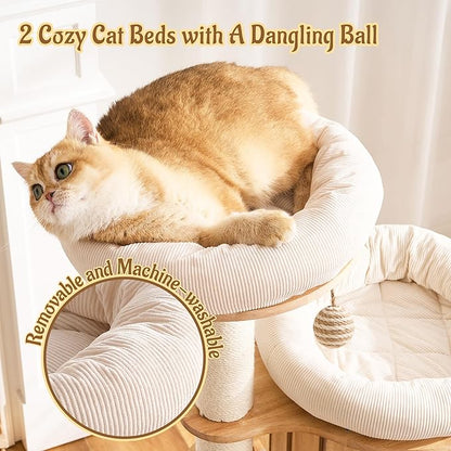 Modern Cat Tree Tower with Scratching Post, 61.5in Tall Cat Tree for Indoor Cats, Multi-Level Solid Wood Cat Furniture with Ladder, Cozy Cat Beds, Cat Condo, Capsule Nest, Dangling Toy, Natural