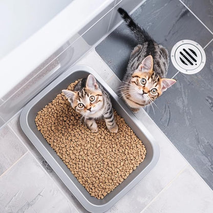 2 Pack Stainless Steel Cat Litter Box，Small Stainless Steel,Large Metal Cat Litter Box-Easy to Clean.(17.5" L x 13.6" W x 4.1" H).