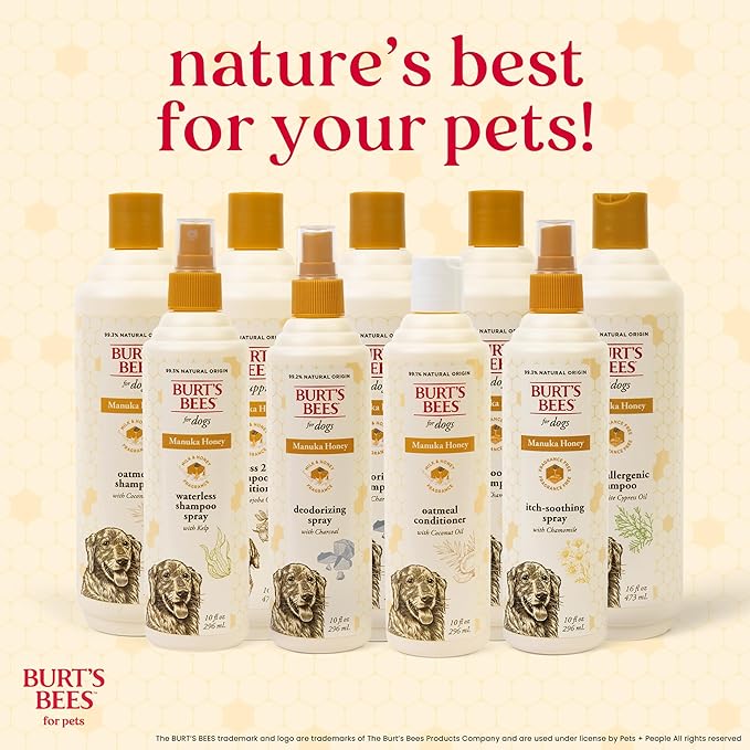 BURT'S BEES FOR PETS Deodorizing Dog Spray with Manuka Honey and Charcoal for Dogs - Naturally Derived Ingredients, Formulated without Artificial Fragrances, Sulfates, Colorants, 10 Fl Oz