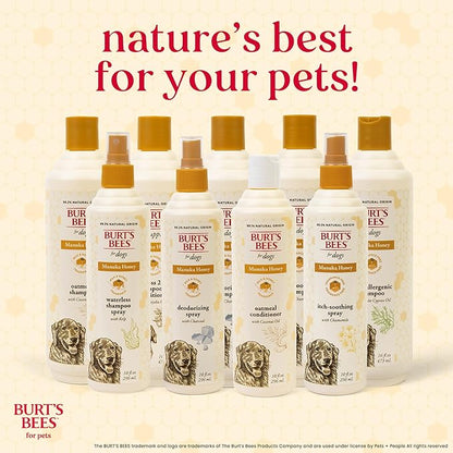 Burt’s Bees for Pets Manuka Honey Waterless Shampoo Spray for Dogs with Kelp, 10 Fl Oz
