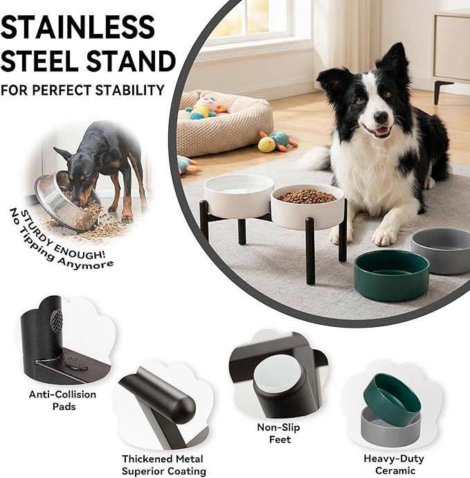 Dog Bowls Elevated - Ceramic Raised Dog Bowl with Non Slip Steel Stainless Stand - No Spill and Heated Feeding Station - Food and Water Dish Set for Medium to Large Pet - Each Holds 7.5 Cups – Green