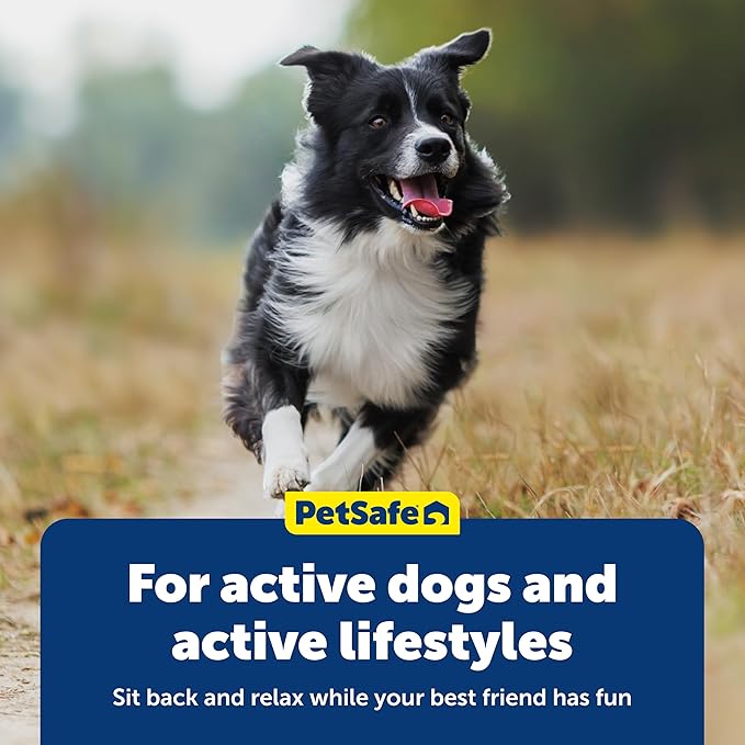 PetSafe Busy Buddy Chuckle - Treat Dispensing Toy for Interactive Play - Chuckle Sound Toy - Dog Enrichment Chew Toy - Durable Rubber Construction - Dishwasher Safe