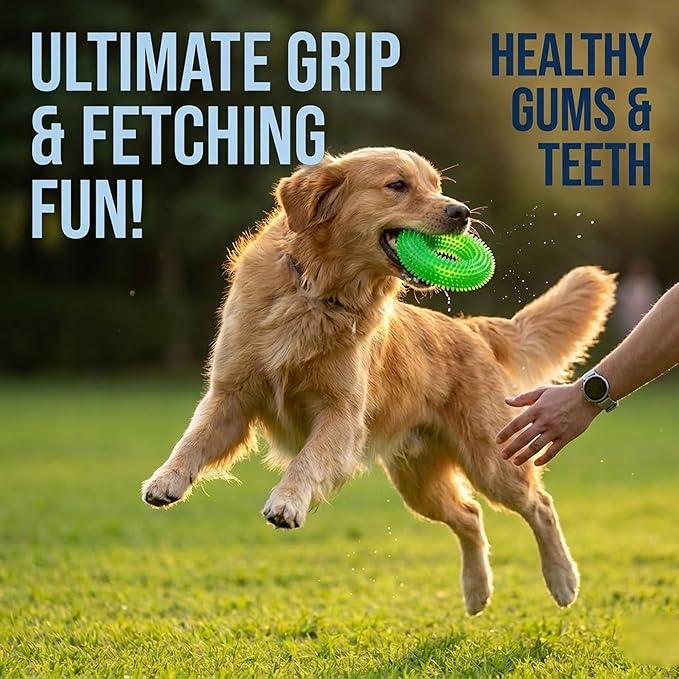 ADUCK Dog Squeaky Chew Toys for Aggressive Chewers, Small Medium Large Dogs Teeth Cleaning Soft Natural Rubber Float Toy for Indoor Outdoor Water Pool, Donut Ring Design 4.92 inch, Crystal Green
